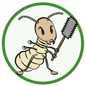 �V���A���C���X�g